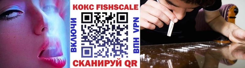 Купить закладки  Камень-на-Оби  COCAIN VHQ 