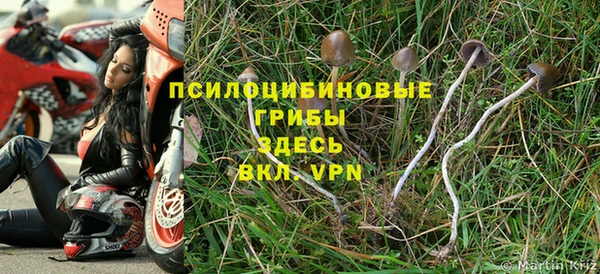 МДПВ Алексеевка