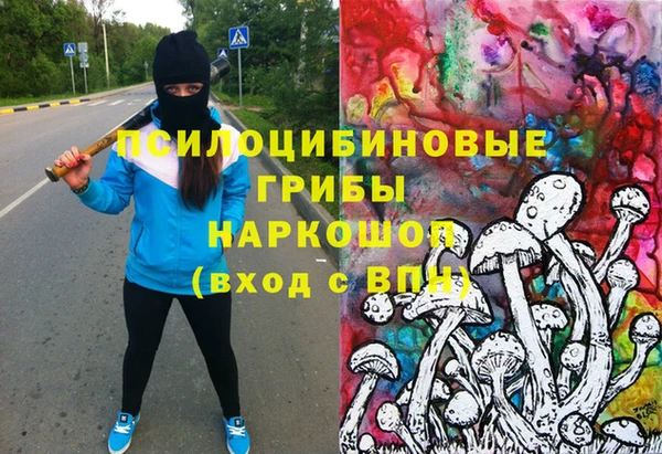 гашик Алзамай