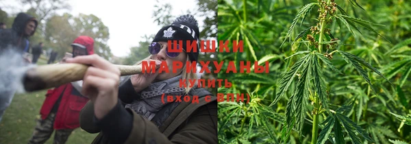 гашик Алзамай