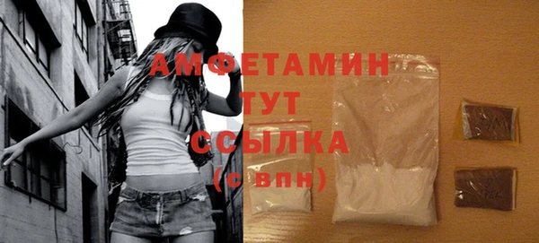 гашик Алзамай