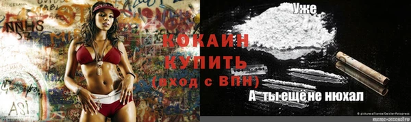 МДПВ Алексеевка