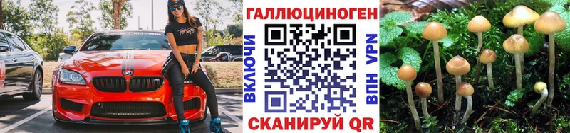 Псилоцибиновые грибы ЛСД  Купить  Камень-на-Оби 